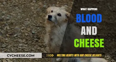 Blood and Cheese: Unraveling the Shocking Events in House of the Dragon