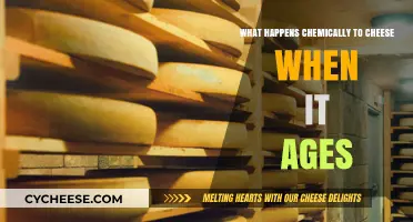 The Chemistry of Aging Cheese: Unraveling Flavor and Texture Transformations