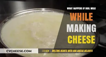 Boiling Milk for Cheese: Risks, Rewards, and Perfect Curds Explained