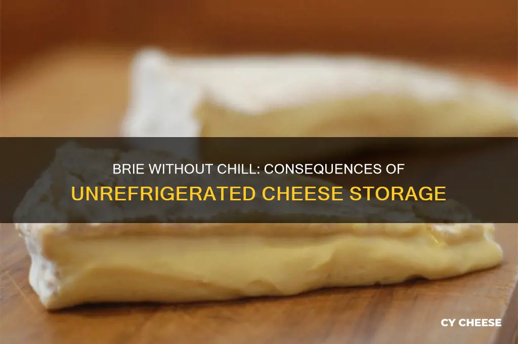 what happens if brie cheese is no refrigerated