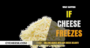 Freezing Cheese: What Happens When Your Dairy Turns Icy?