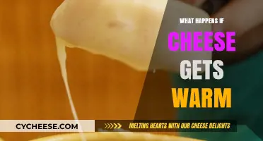 Cheese Warming: Exploring the Science and Art