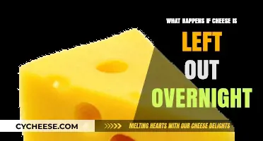 Overnight Cheese Dilemma: What Happens When Cheese Stays Out?