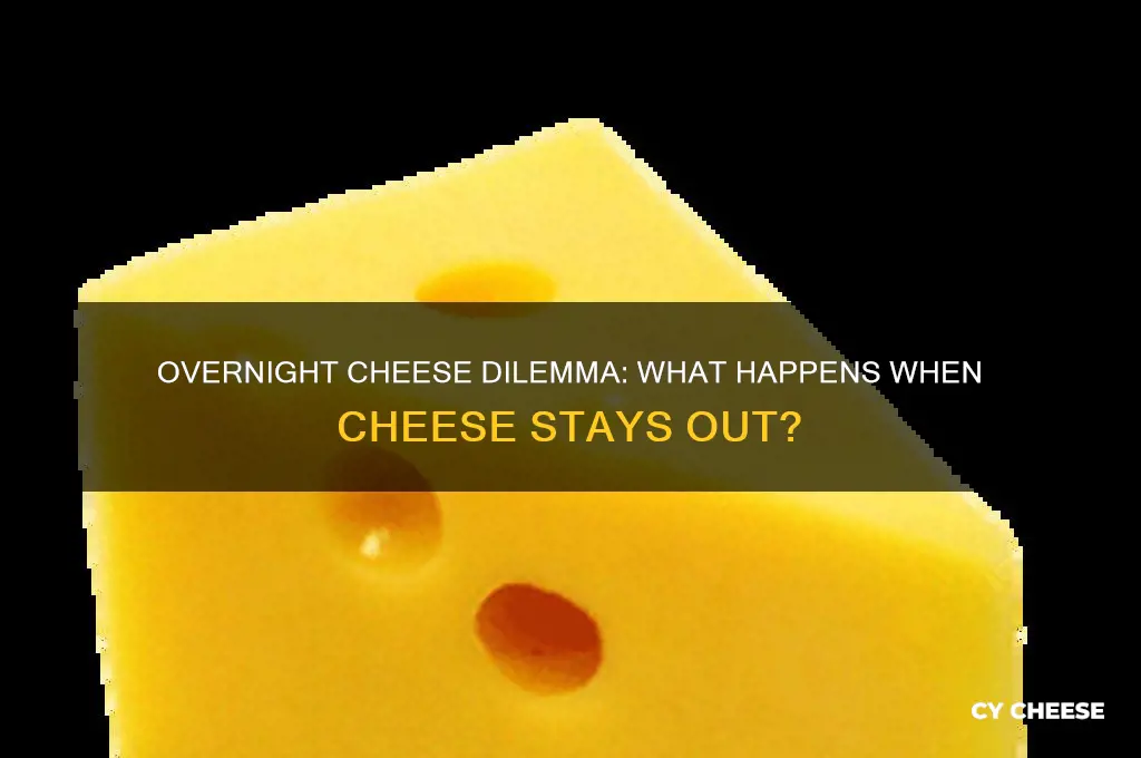 what happens if cheese is left out overnight