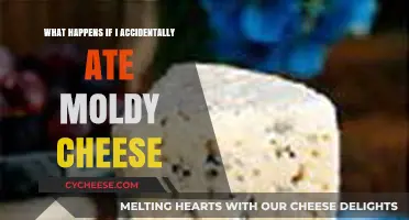 Accidentally Ate Moldy Cheese? Here's What Happens Next