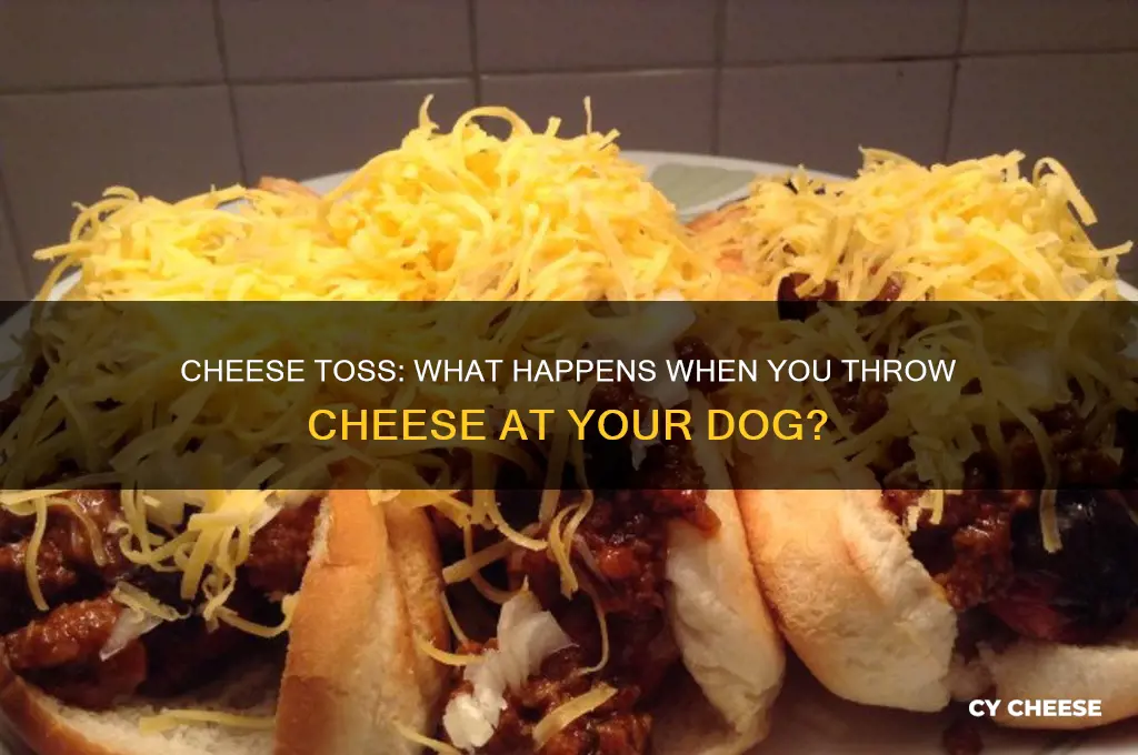 what happens if i throw cheese at my dog