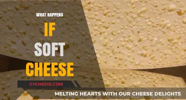 What Happens If Soft Cheese Spoils: Risks and Signs to Watch For