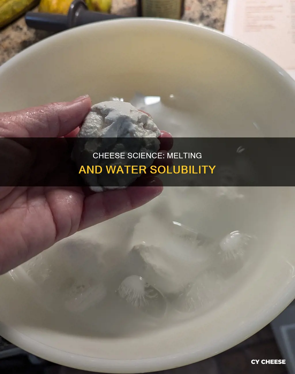 what happens if u put melted cheese in water