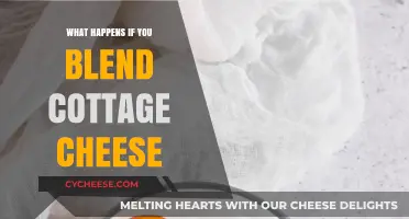 Blending Cottage Cheese: Surprising Results and Creative Recipe Ideas