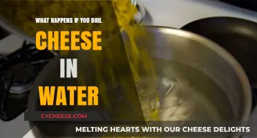 Boiling Cheese in Water: Surprising Results and Culinary Insights