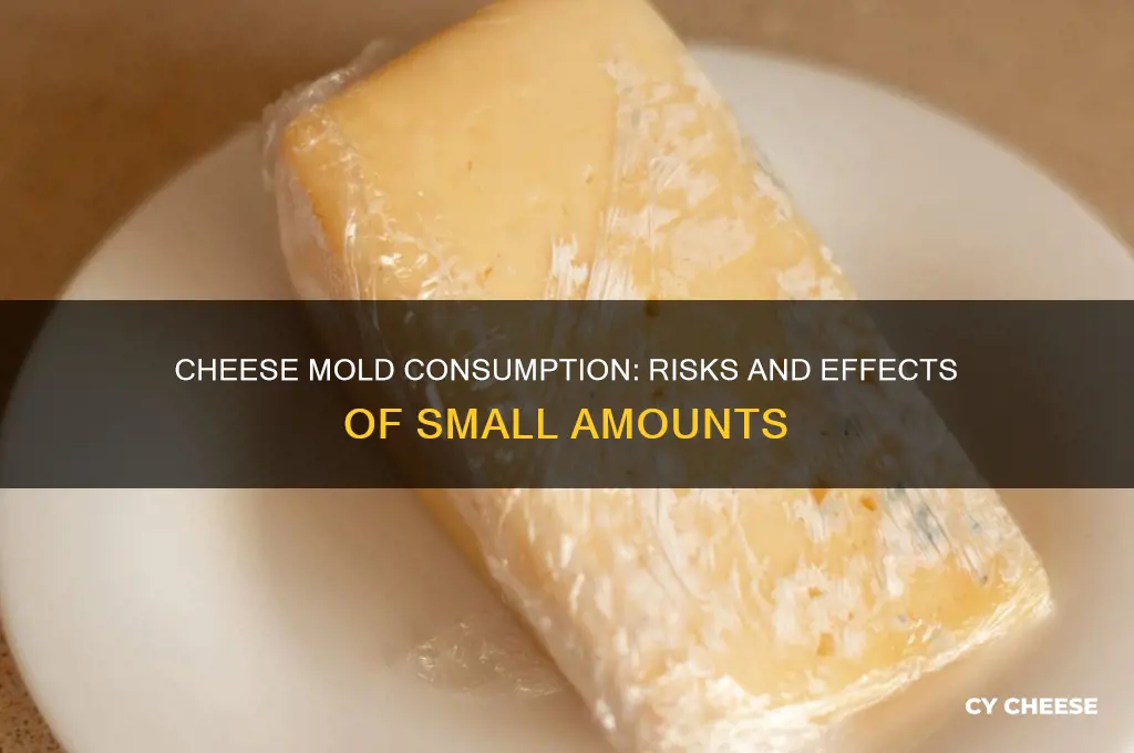what happens if you consume small amounts of cheese mold