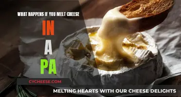 The Melty Cheese Pan Mystery: What Really Happens?