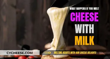 The Magical Transformation of Melting Cheese with Milk