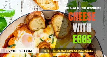 Cheesy Egg Adventure: A Tasty Experiment Unveiled