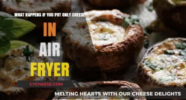 Air-Fried Cheese: What's the Outcome?
