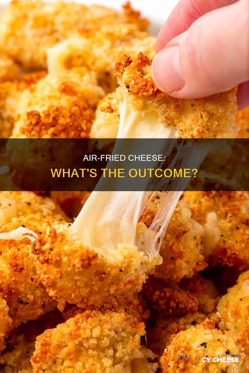 what happens if you put only cheese in air fryer