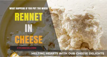 Overdoing Rennet: How Excess Affects Cheese Texture and Flavor