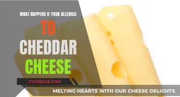 Allergic to Cheddar? Uncover the Surprising Reactions and Remedies