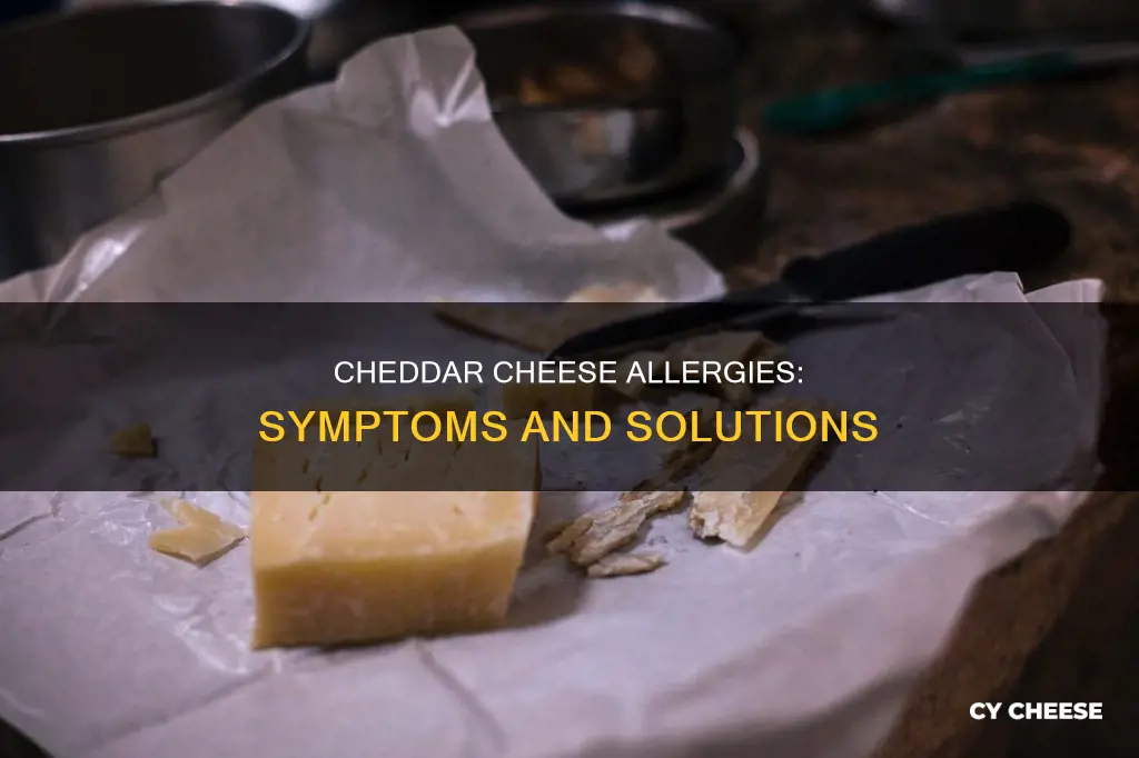 what happens if your allergic to cheddar cheese
