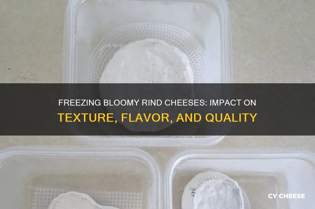 what happens to bloomy rind cheeses that are frozen