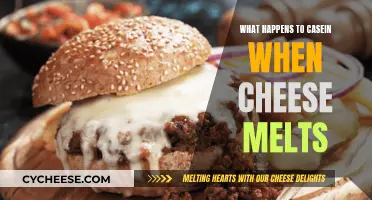 Cheese Melting: Casein's Magical Transformation