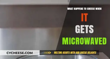Why Microwaving Cheese Can Be a Disaster