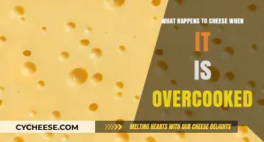 Overcooked Cheese: Texture Changes, Flavor Loss, and Rescue Tips