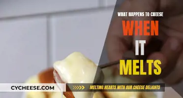 Cheese Melting: The Science Behind the Scene