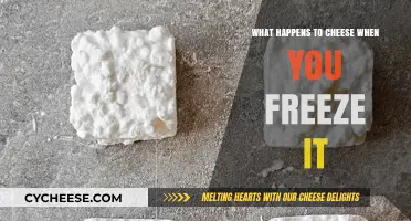 Freezing Cheese: Texture, Taste, and Storage Effects Explained