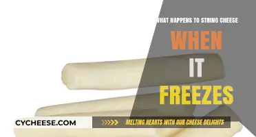 Freezing String Cheese: Texture, Taste, and Storage Changes Explained