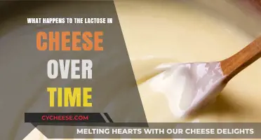 Aging Cheese: How Lactose Transforms Over Time Explained