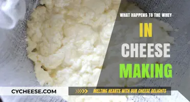 Whey's Journey: From Cheese Byproduct to Versatile Ingredient Explained