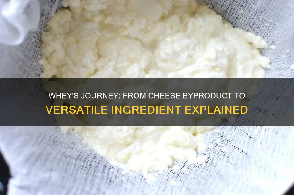 what happens to the whey in cheese making