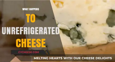 Unrefrigerated Cheese: Risks, Spoilage, and Safety Tips for Storage