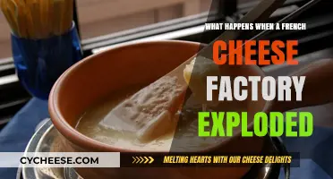 French Cheese Factory Explosion: Aftermath, Impact, and Recovery Efforts