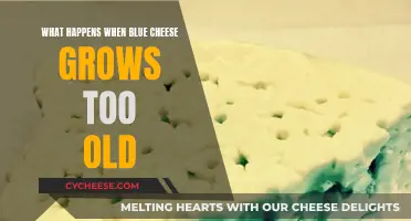 Blue Cheese Aging: What's Too Old?