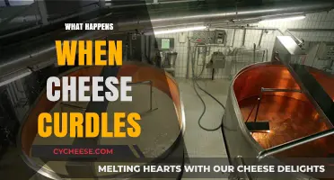 Why Cheese Curdles: Understanding the Science Behind Coagulation