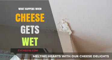 Cheese and Moisture: A Complex Relationship