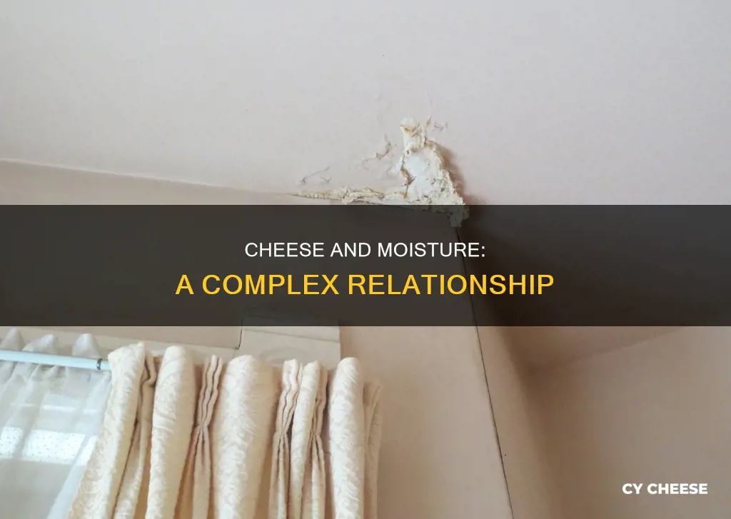 what happens when cheese gets wet