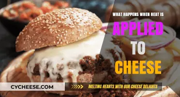 Melting Magic: How Heat Transforms Cheese Texture and Flavor