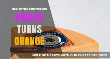 Parmesan Cheese Turning Orange: What's the Reason?