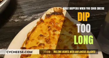 Cheese Dip Overcooked: What Went Wrong?