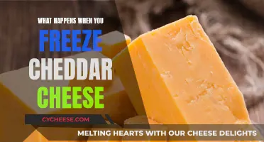 The Surprising Result of Freezing Cheddar Cheese: A Tasty Discovery