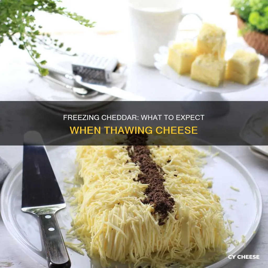 what happens when you freeze cheddar cheese