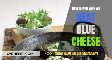 Blue Cheese's Melty Makeover: A Tasty Transformation