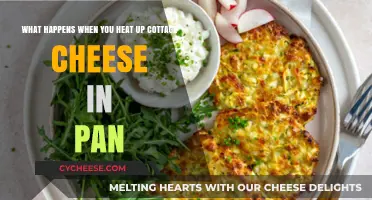 Heating Cottage Cheese in a Pan: Surprising Results and Tips