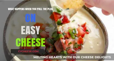 Unplugging Easy Cheese: The Surprising Aftermath of Pulling the Plug