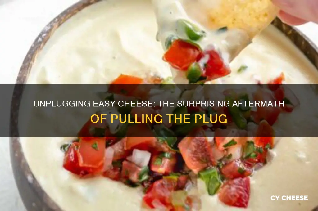 what happens when you pull the plug on easy cheese