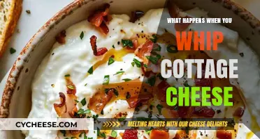 Whipping Cottage Cheese: Surprising Texture and Flavor Transformations Explained