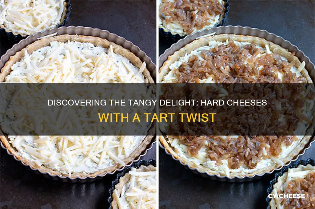 what hard cheese has a touch of tartness to it